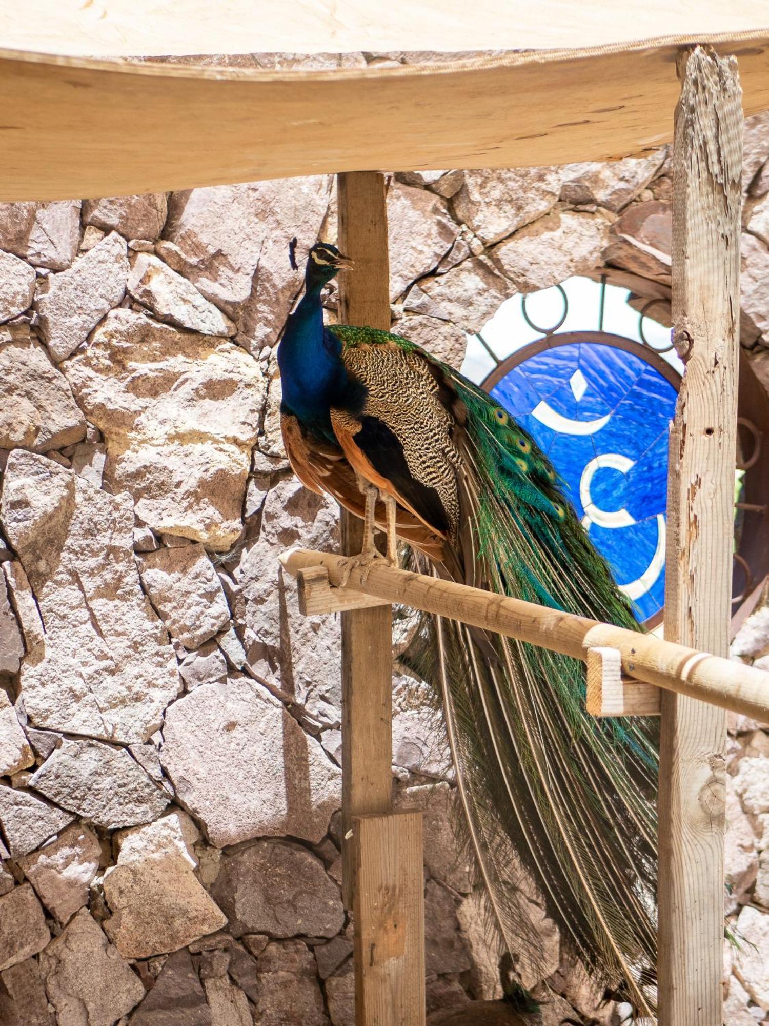 Posada Balaprada Konuk evi Ensenada Dış mekan fotoğraf